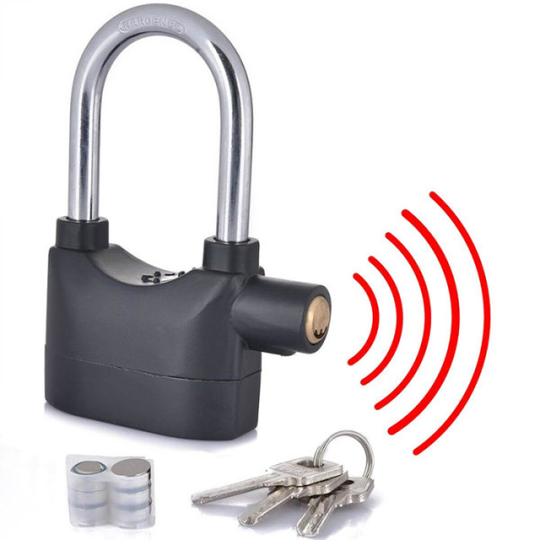 1731064463-1722924186-Alarm-Lock-eStore-bd-31