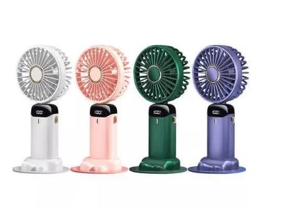 Fan (13)