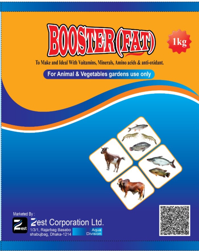 IMG-20241120-WA0002