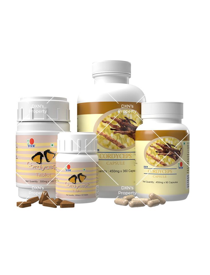 HF210_DXN_Cordyceps.jpg