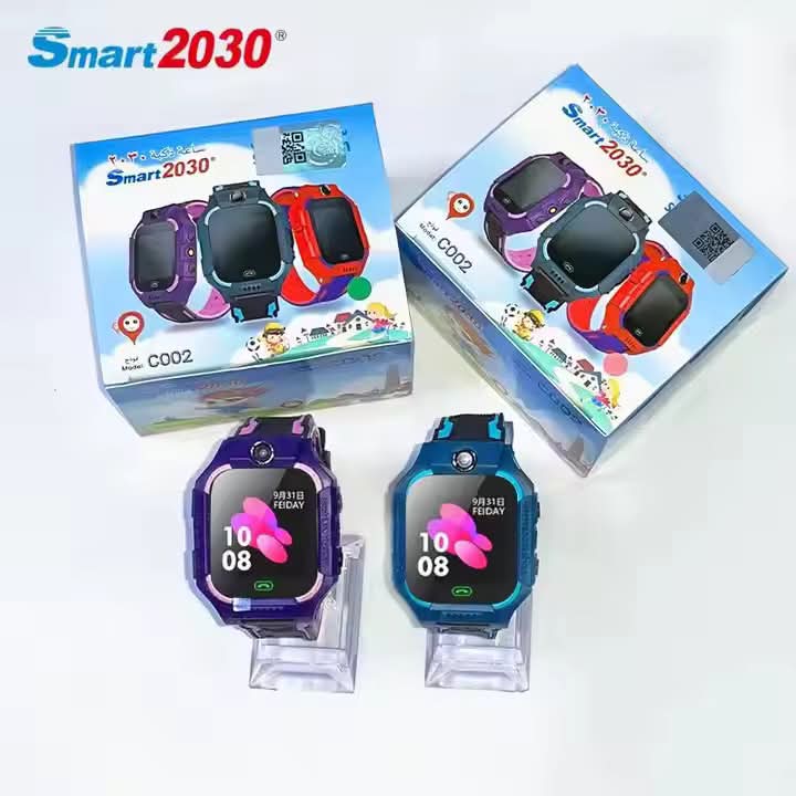 SmartBerry 1